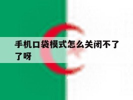 手机口袋模式怎么关闭不了了呀