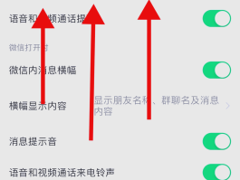 网络电话打不了怎么办苹果手机