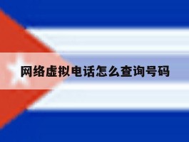 网络虚拟电话怎么查询号码