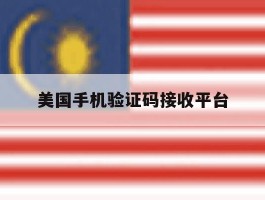 美国手机验证码接收平台